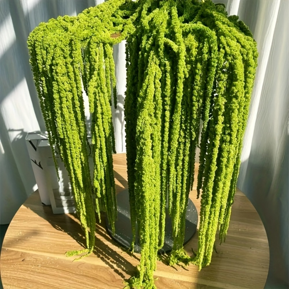 Conjunto de 4 Peças de Flores  - Preserved Moss Sheet avaliação e preço