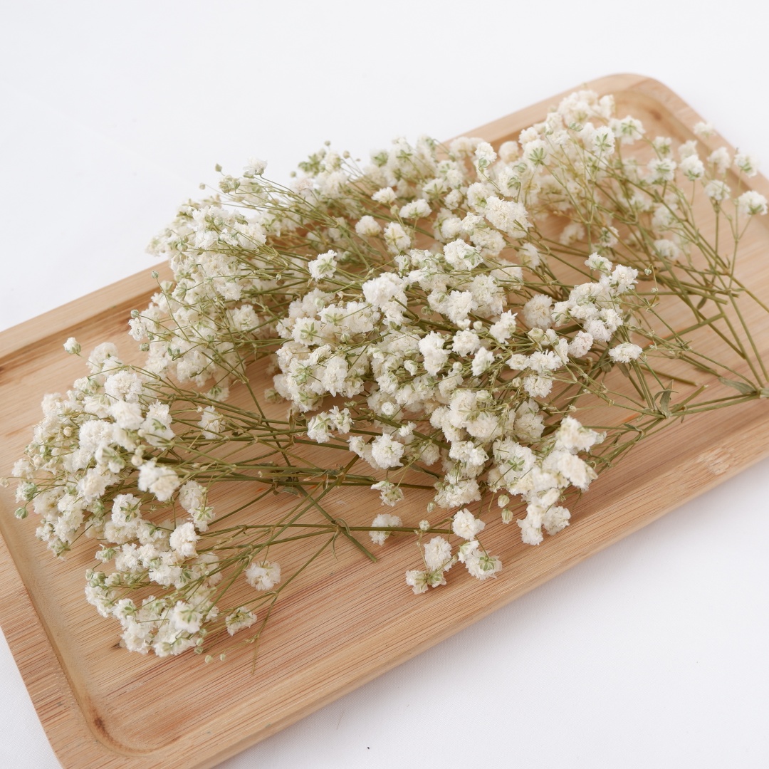 Flores secas brancas mini baby - Baby Breath Dried avaliação e preço