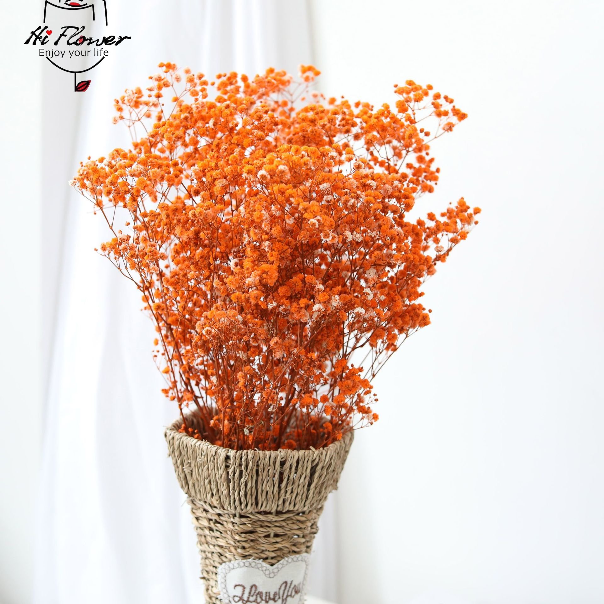 Flores secas naturais preserva - Baby Breath Dried avaliação e preço