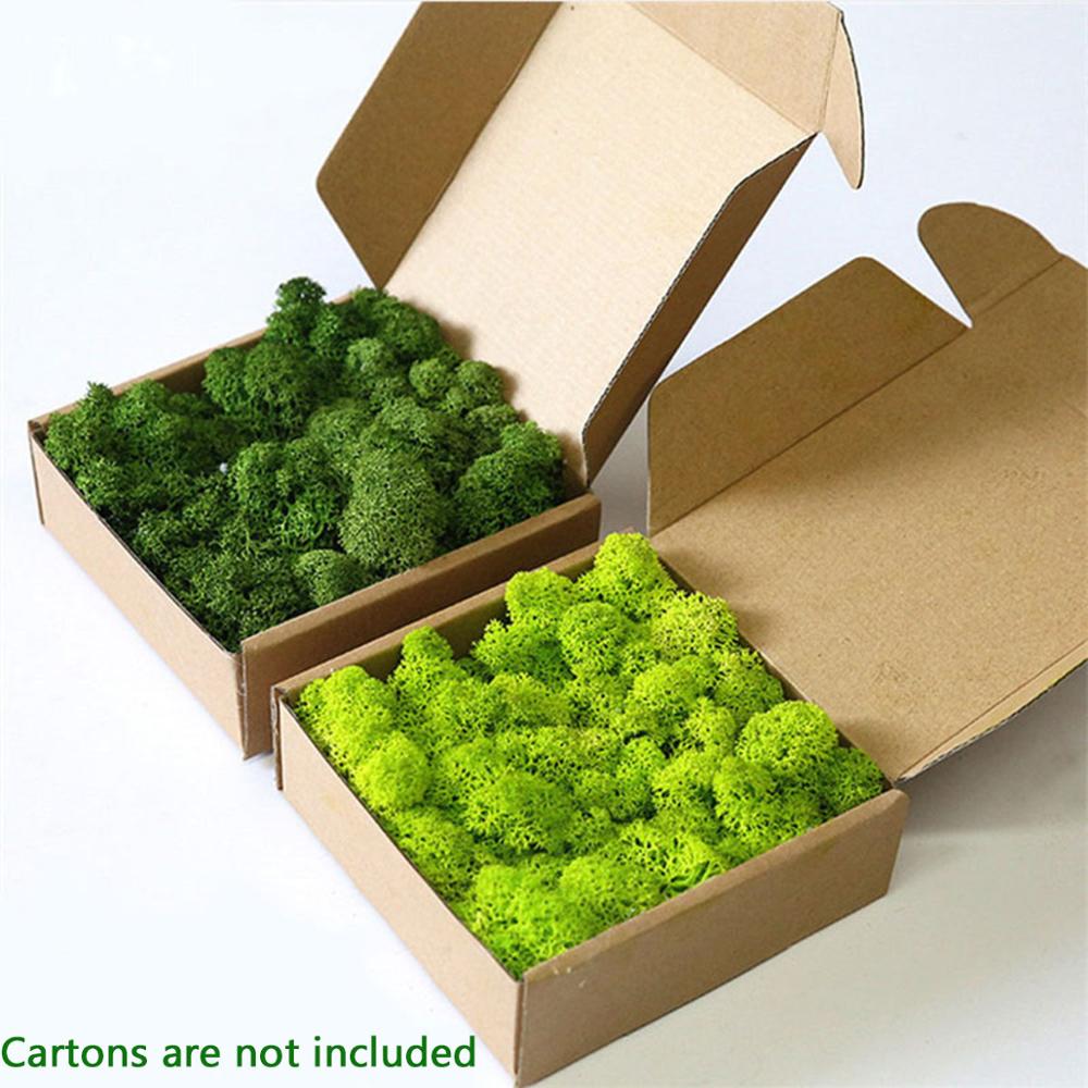 Planta artificial vida eterna  - Preserved Moss Sheet avaliação e preço