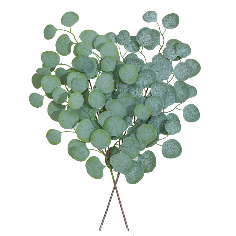 Eucalipto Folha Videira Planta - Florist Supply Vases avaliação e preço