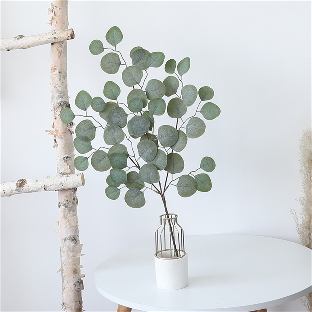 Eucalipto Folha Videira Planta - Florist Supply Vases avaliação e preço