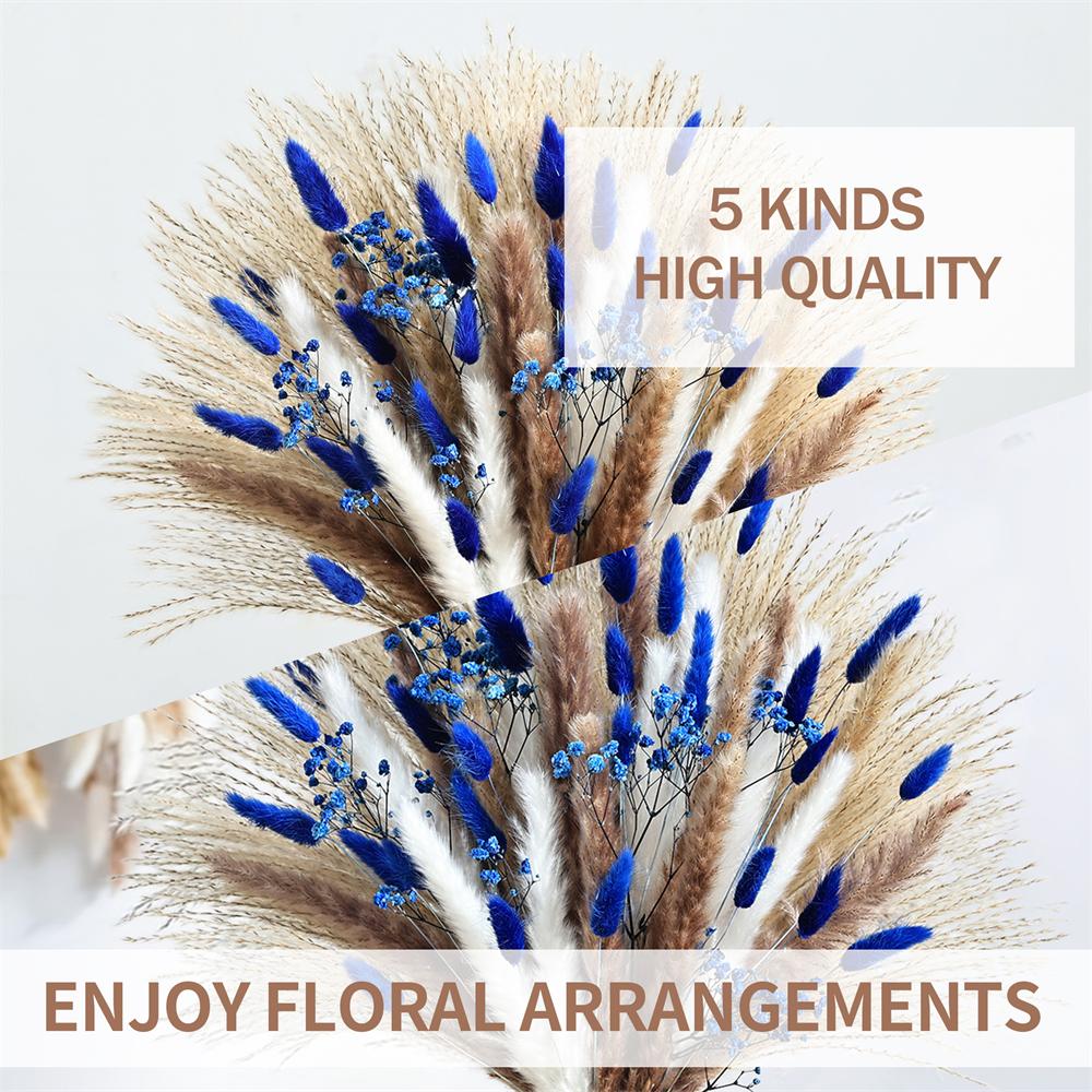 70 pçs azul pampas flores seca - Baby Breath Dried avaliação e preço