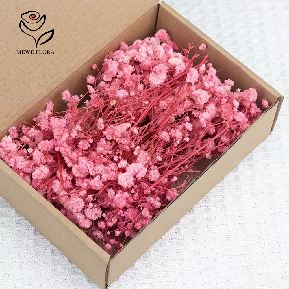 100 galhos pequenos secos flor - Baby Breath Dried avaliação e preço